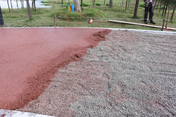 安寧市寧湖公園景觀提升改造設(shè)計(jì)項(xiàng)目   