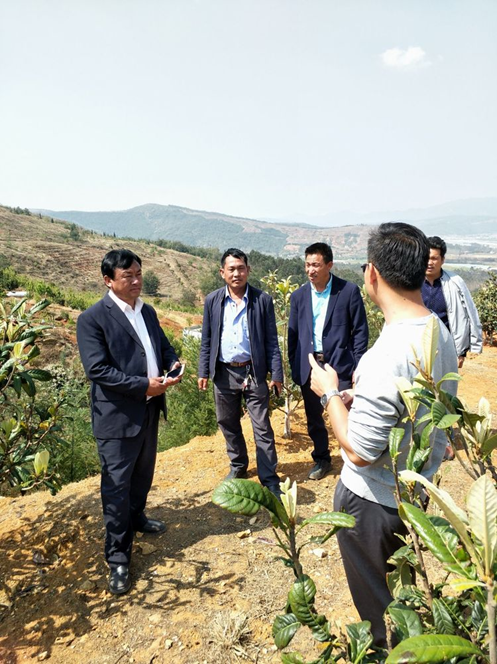湯郎鄉(xiāng)人大主席張寧同志帶領(lǐng)典文村兩委同志到云南潤益農(nóng)業(yè)開發(fā)有限公司參觀學(xué)習(xí)