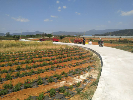 安寧市八街街道辦鳳儀村委會龍鳳村農(nóng)田機耕路部分修補建設工程及龍鳳村道路硬化工程