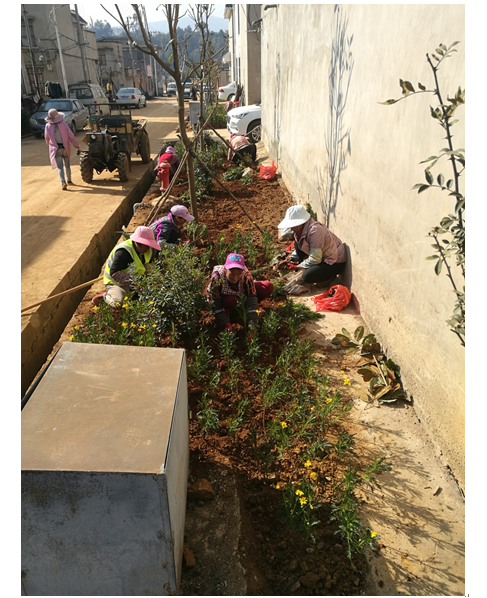 安寧市縣街街道辦縣街村委會梨園村村內(nèi)綠化工程12月工程進(jìn)度
